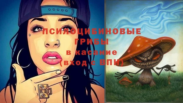трава Абинск
