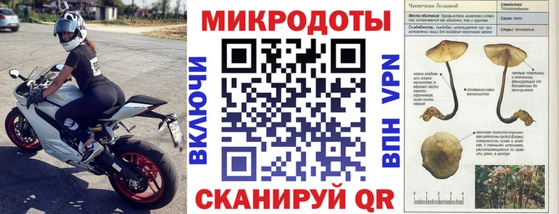 закладки  Шлиссельбург  Галлюциногенные грибы Cubensis 